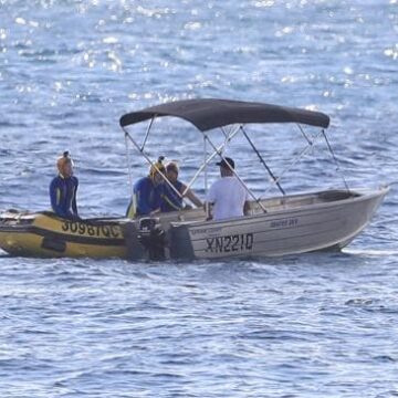 "Héroe en una hojalata" que liberó a la cría de ballena atrapada de las redes de tiburones en la costa de Gold Coast con avisos de infracción