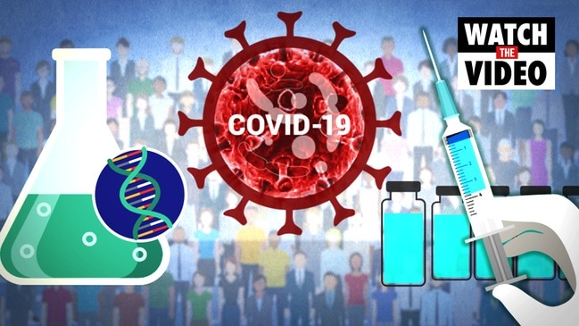 How does a coronavirus vaccine get developed?