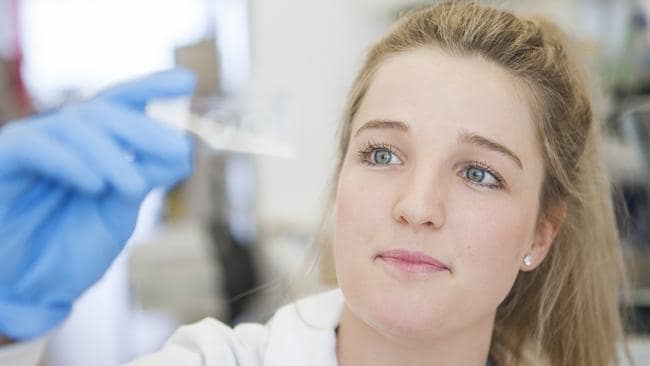 Ciara Duffy, científica de Perth, descubre que el veneno de abeja mata las células cancerosas