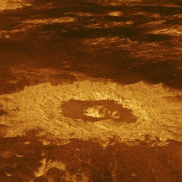 Así es como podría verse la vida en Venus y cómo la encontraremos