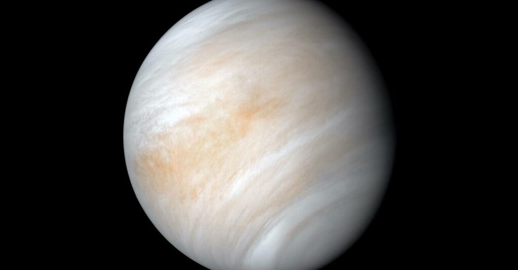 Todo lo que necesita saber sobre los signos de vida descubiertos en Venus