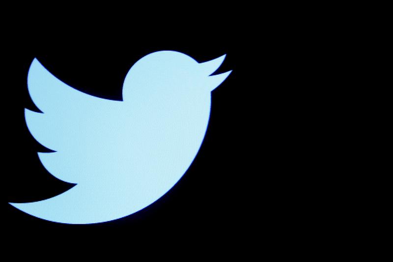El experimento colectivo 'Birdwatch' de Twitter se enfrenta a desafíos familiares