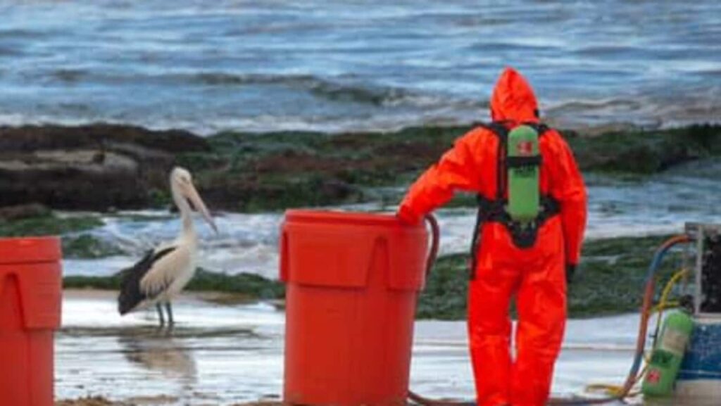 Operación de materiales peligrosos en la playa de Newcastle después de que un misterioso contenedor marcado con 'ácido' se lave en tierra