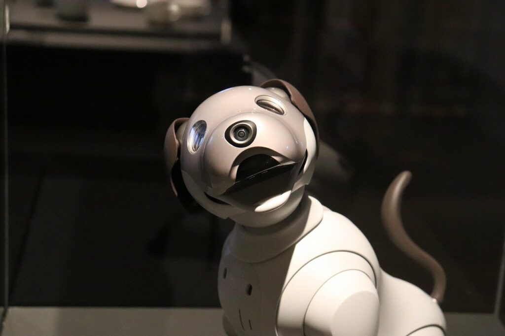 Caza: los parlamentarios quieren reemplazar a los animales con ... robots