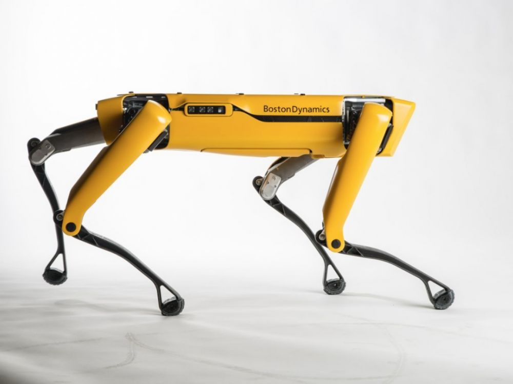 Dos perros robot de Boston Dynamics adoptados por Ford