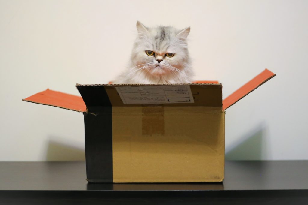 Amazon piensa en tu gato con un nuevo paquete eco-responsable
