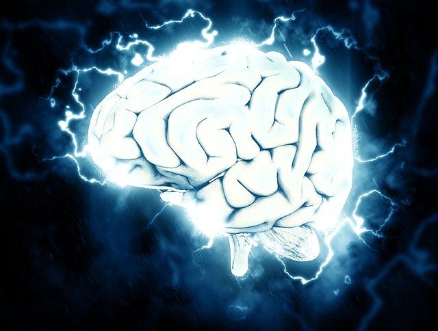 El chip Neuralink podrá transmitir música a ... su cerebro