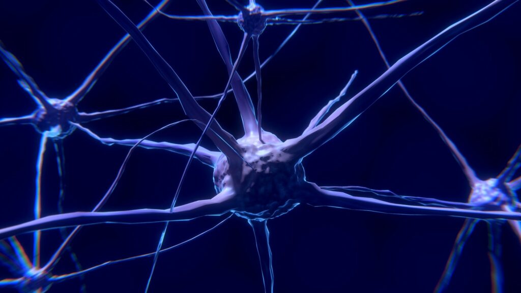 Este video muestra lo que sucede con las neuronas muertas en el cerebro