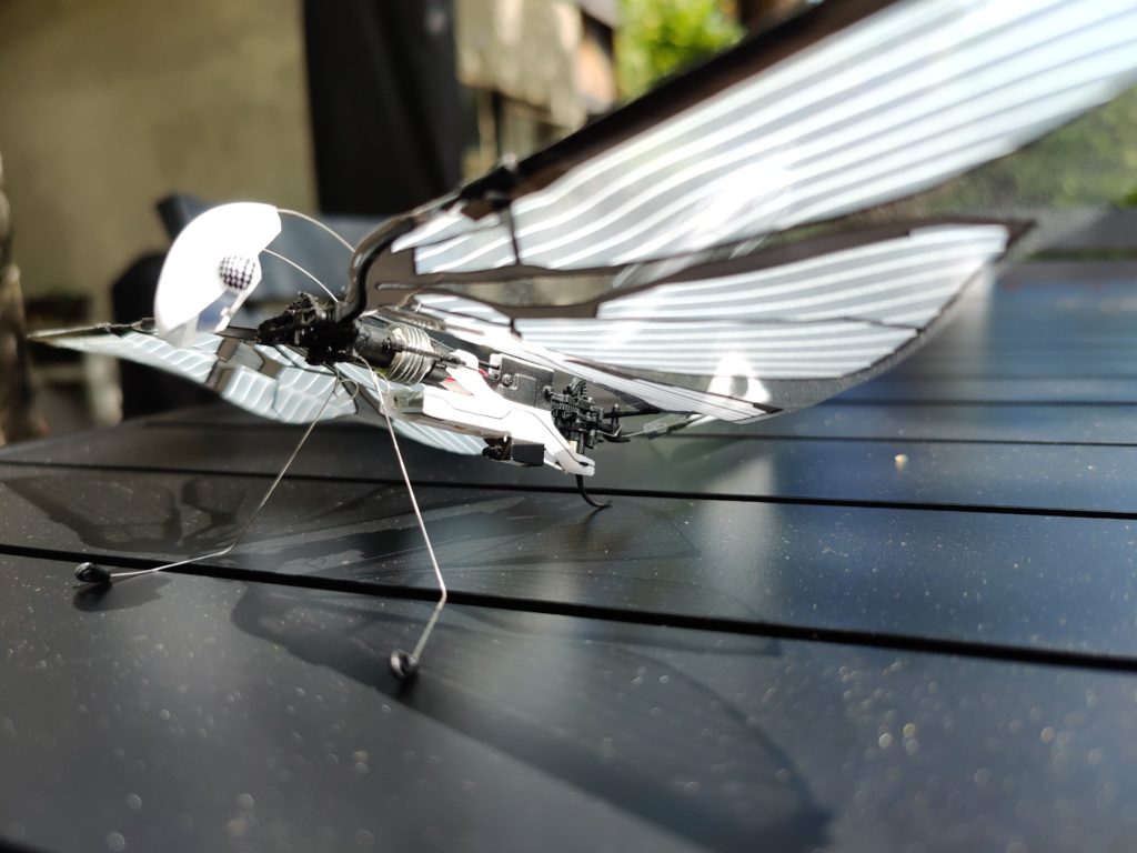 [Test] BIONIC BIRD MetaFly: tomamos el control de un dron biomimético |  Diario del friki