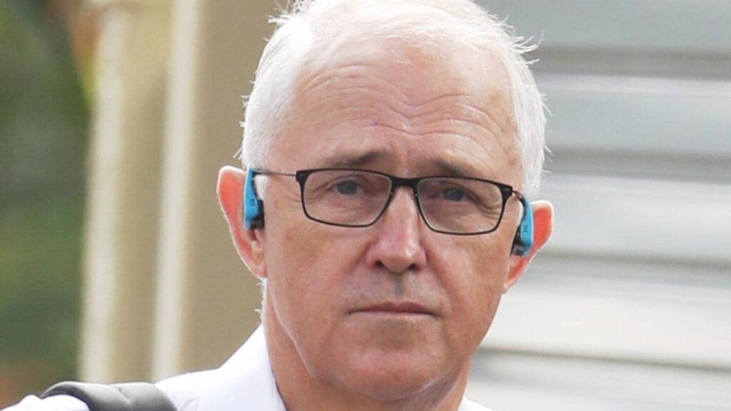 El candidato de los NSW Nationals Upper Hunter, David Layzell, golpea a Malcolm Turnbull por los comentarios sobre el carbón