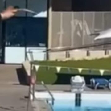 Video muestra el imprudente truco de buceo de un hombre