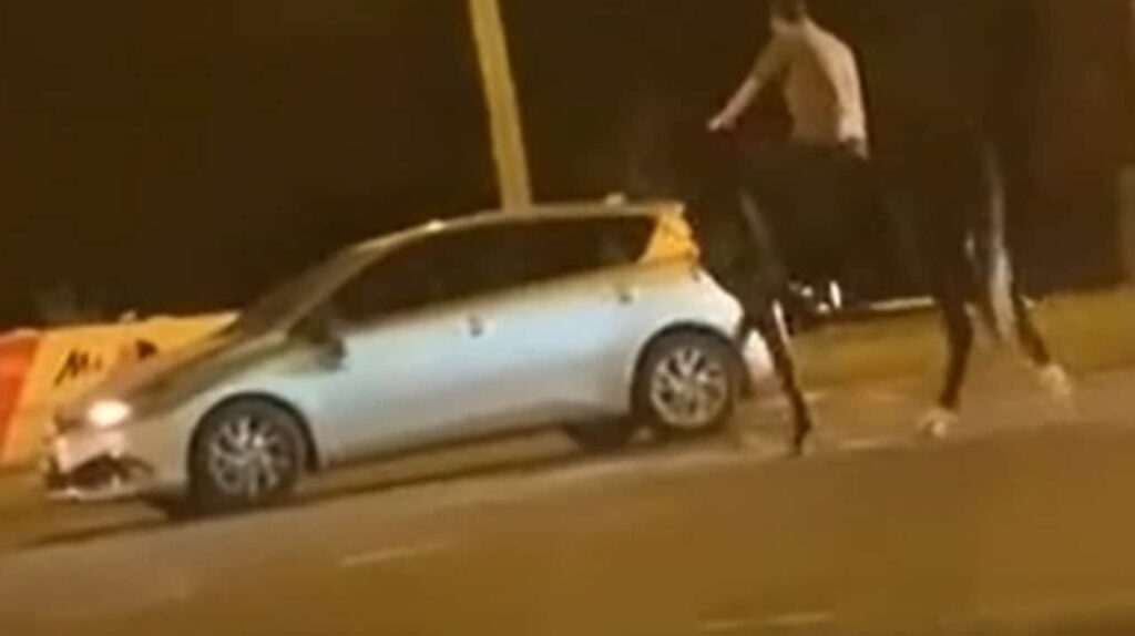 Usuario de TikTok captura el momento en que un automóvil y un caballo chocan en la calle Bankstown