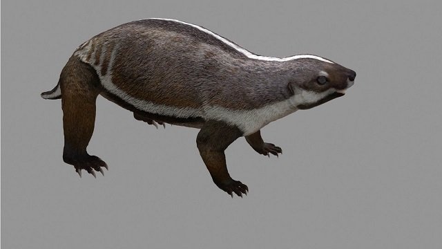 Este mamífero, apodado la "bestia loca", vivió en la época de los dinosaurios