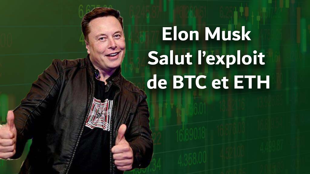 ¿Elon Musk se ha apoderado de su espíritu?  ¡Saluda el logro de Bitcoin y Ethereum!