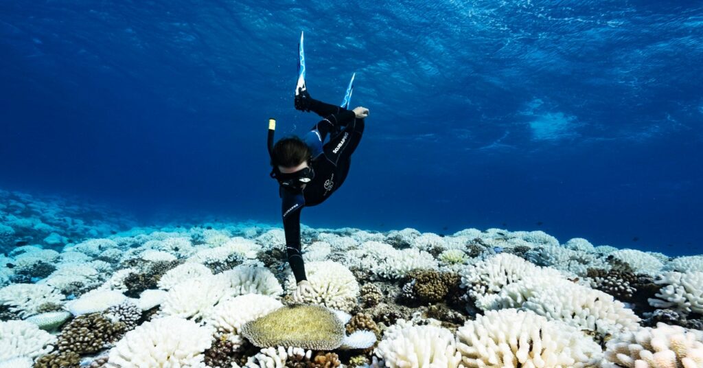 Puntos brillantes en la catástrofe mundial de los arrecifes de coral