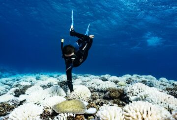 Puntos brillantes en la catástrofe mundial de los arrecifes de coral