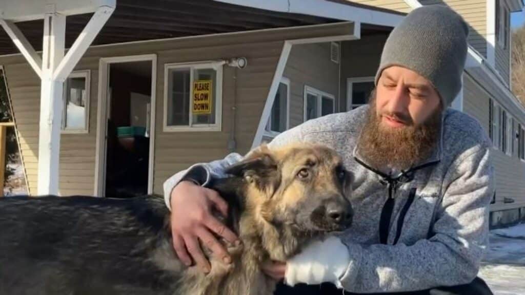 Perro salva la vida de su dueño después de llevar a la policía a un accidente automovilístico