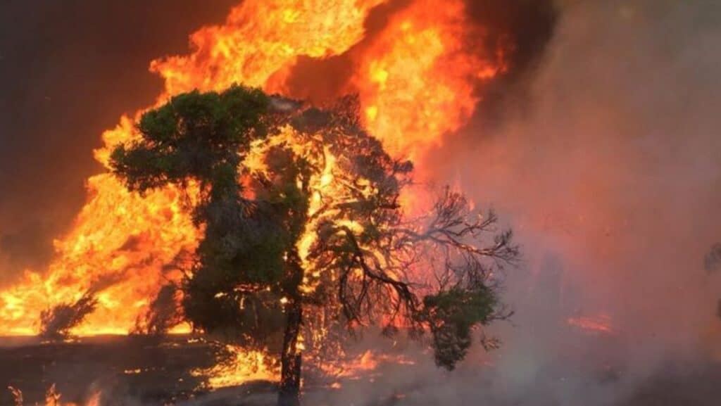 Incendio forestal en WA: al menos tres casas destruidas