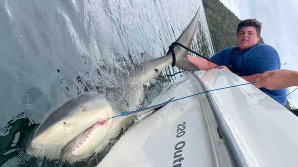 Adolescente atrapa un tiburón toro gigante en el puerto de Sydney