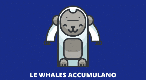 APE whales