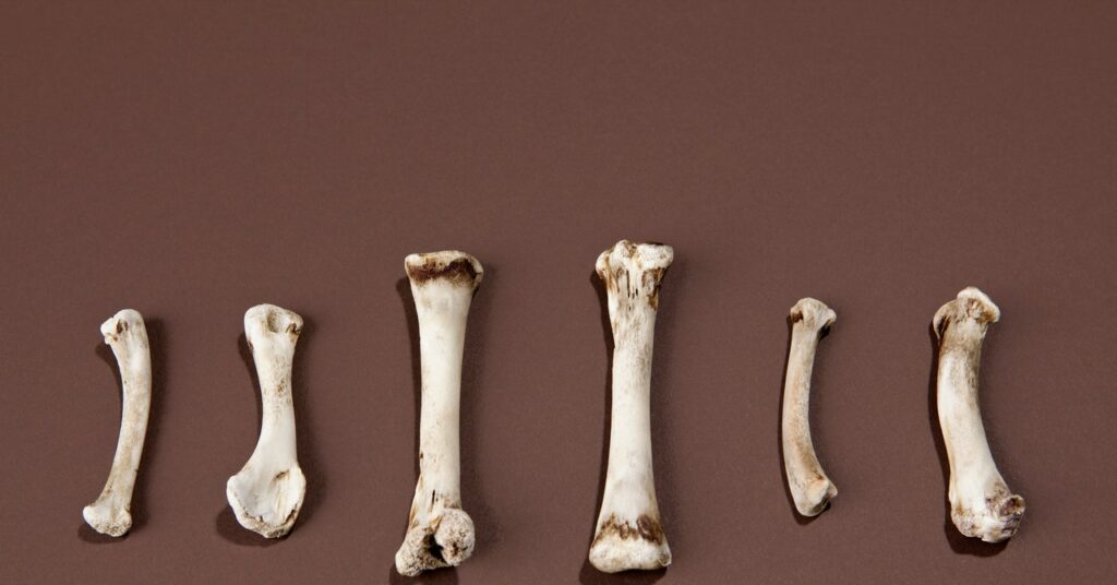 Esta startup quiere que comas huesos de pollo molidos