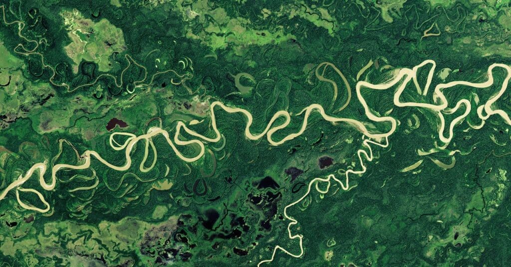 Los ríos reorganizados refuerzan la hiperbiodiversidad de la Amazonía