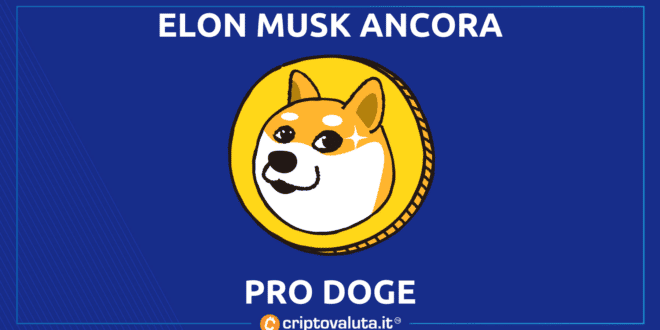 ELON MUSK DOGE