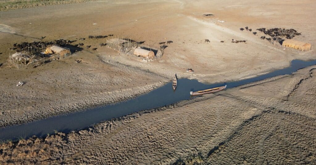 Los pantanos de Mesopotamia están desapareciendo, otra vez