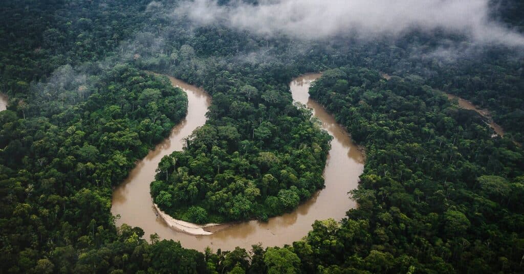 El Niño que se avecina podría secar la Amazonía