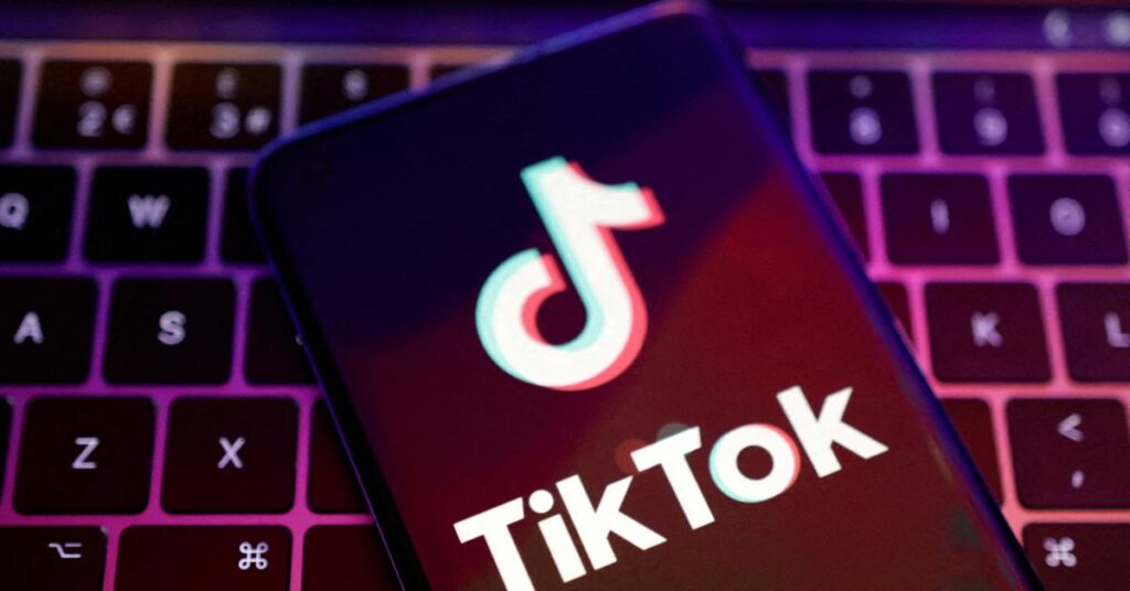 Vietnam encuestará a TikTok sobre contenido "tóxico".