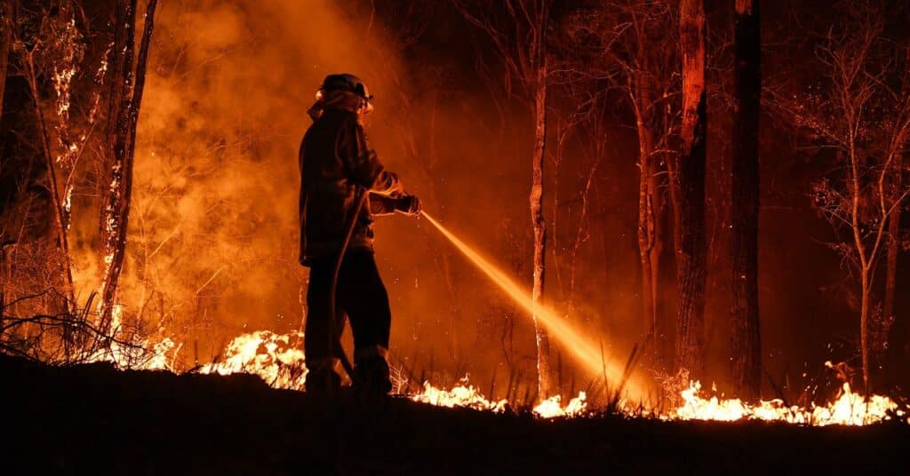 Los incendios forestales de Australia influyeron en una La Niña más extraña