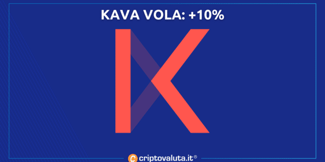 KAVA VOLA +10%