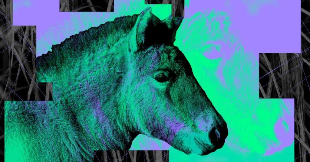 Un nuevo caballo clonado ofrece esperanza para las especies en peligro de extinción