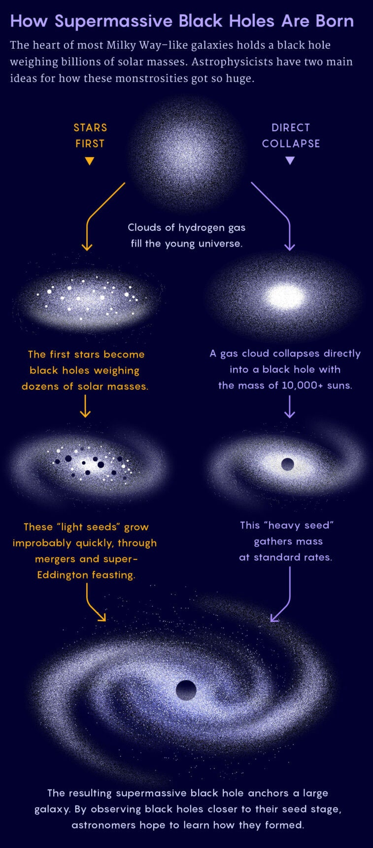 Infografía de cómo nacen los agujeros negros supermasivos